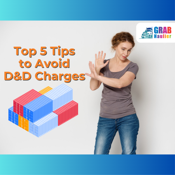 Tips to Avoid D&D Charges